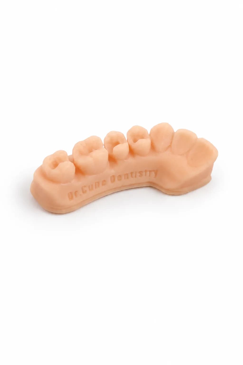 3D Operative Dentistry Model