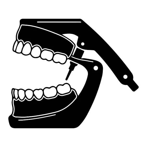Prosthodontics Lab Package (3rd Stage)