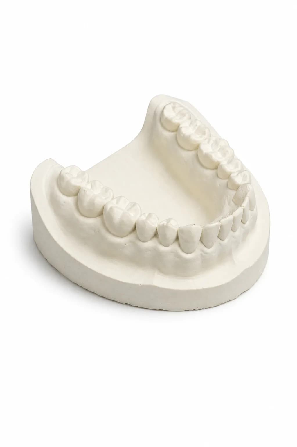 Edentlous Cast